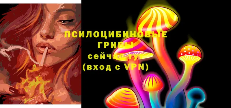 сайты даркнета телеграм  цены наркотик  Морозовск  Псилоцибиновые грибы MAGIC MUSHROOMS  мега зеркало 